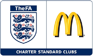 Fa Charter Standard Icon